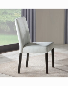 Carena Side Chair (Set-2)